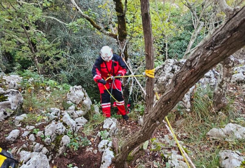 GSS Ljubuški spašavao pse iz jame, jedan uginuo